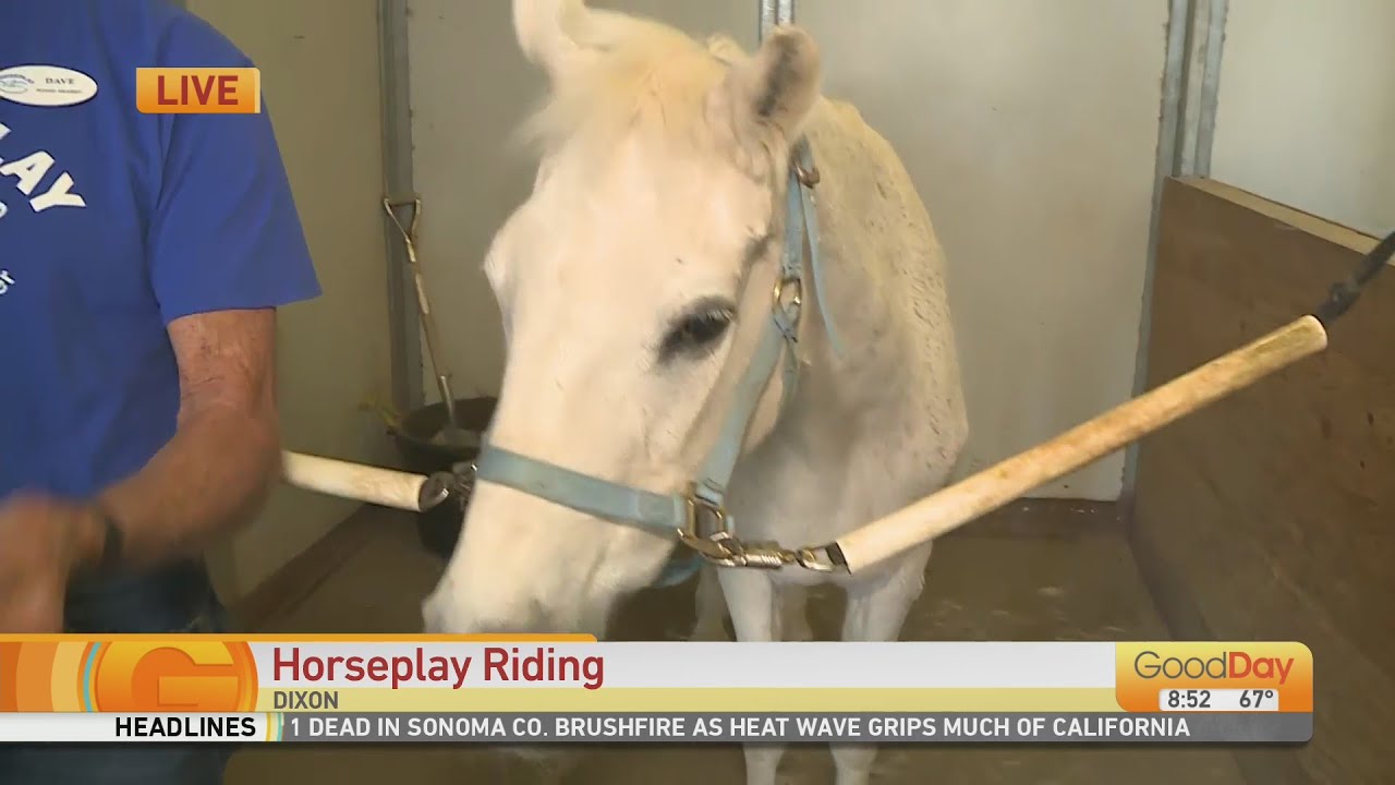 Horseplay Therapeutic Riding Center – A year-round therapeutic recreational  horseback-riding program for special needs children and adults.